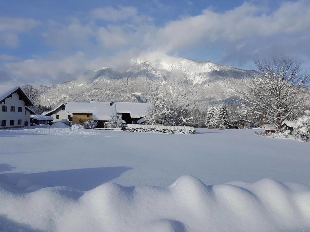 Chiemgauferienwohnungen - Wanderlust Und Alpenrose Unterwossen Bagian luar foto